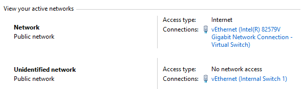 The Network Adapters on the Hyper-V host machine